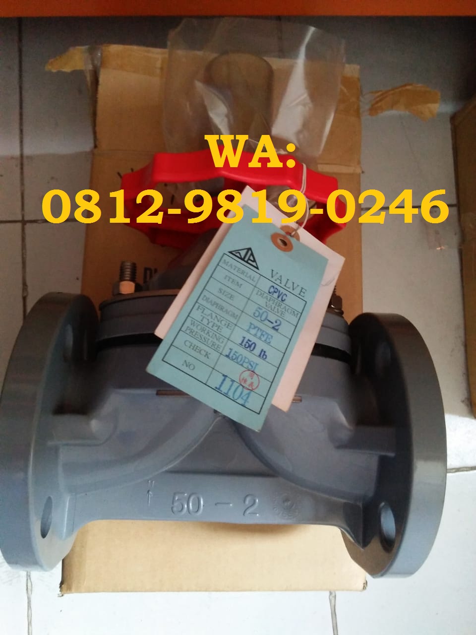 Diaphragm Valve Cpvc 2 Inc Type Flange ansi