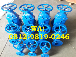 Gate Valve 8 Inc Hq Pn 16 Resilent